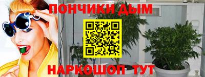 гидропоника Гусиноозёрск