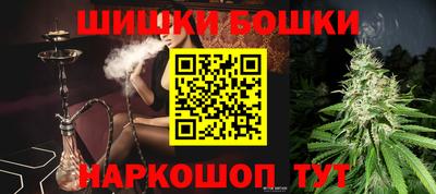 гидропоника Гусиноозёрск