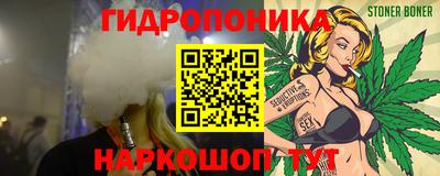 гашик Гусев