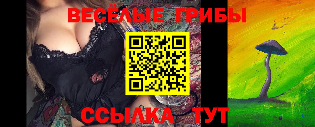 Лыткарино  Псилоцибиновые грибы ЛСД  купить наркоту  Вход с VPN 